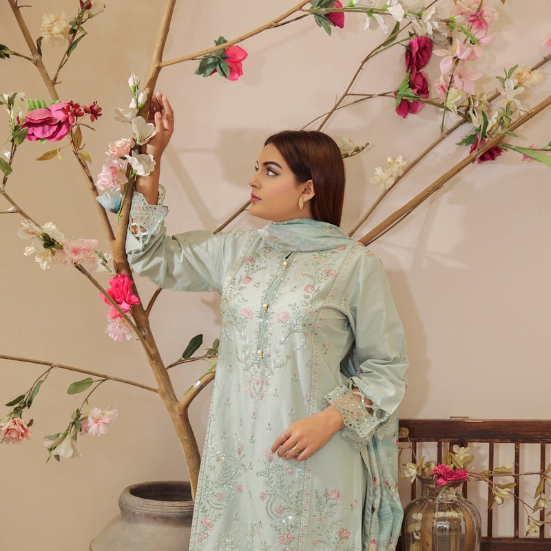 DE-12: Moonlit Grace Eid Dress – Premium Festive Collection