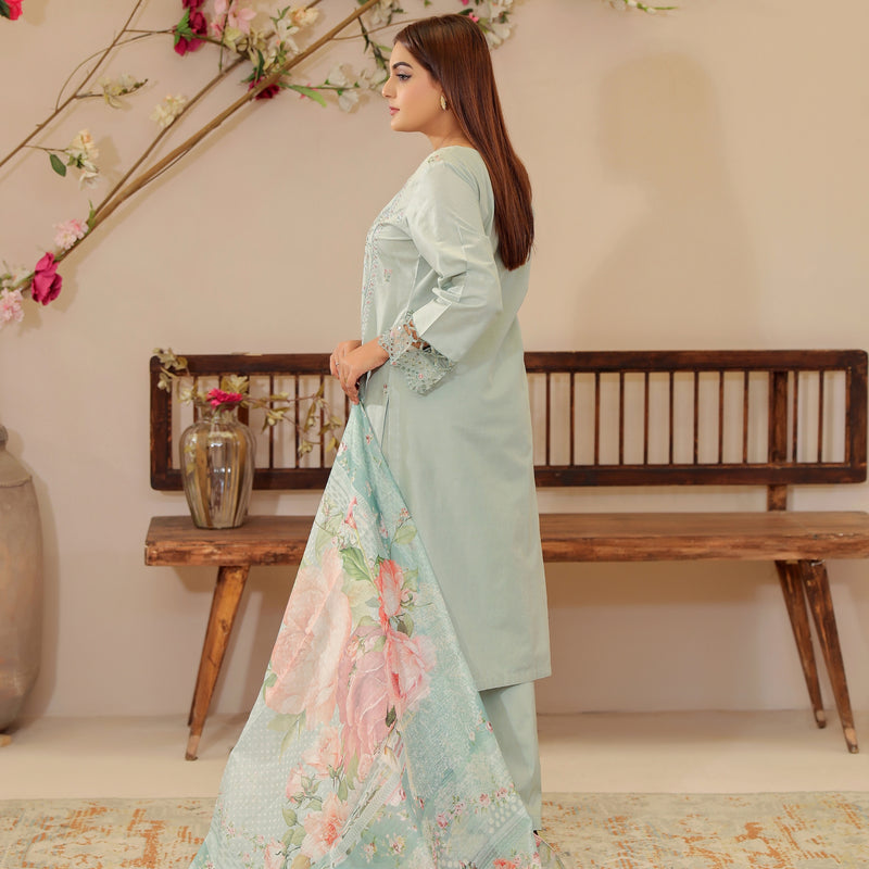 DE-12: Moonlit Grace Eid Dress – Premium Festive Collection